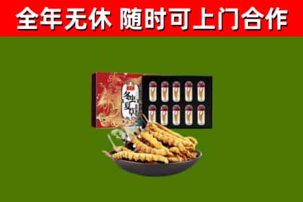 朝阳县回收冬虫夏草价格