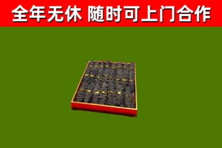 朝阳县回收海参